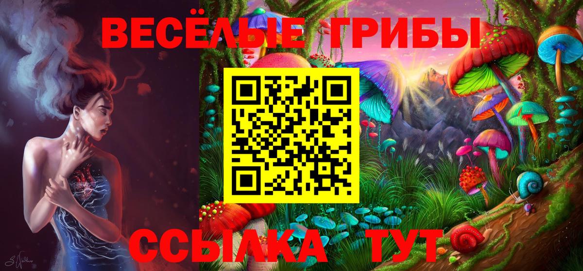 Галлюциногенные грибы мицелий Вышний Волочёк