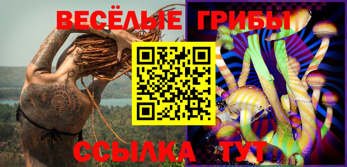 Вышний Волочёк  Галлюциногенные грибы прущие грибы  Вход с VPN 